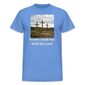 Gildan Ultra Cotton Adult T-Shirt - carolina blue