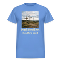 Gildan Ultra Cotton Adult T-Shirt - carolina blue